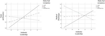 On the Relationship Between Authentic Leadership, Flourishing, and Performance in Healthcare Teams: A Job Demands-Resources Perspective